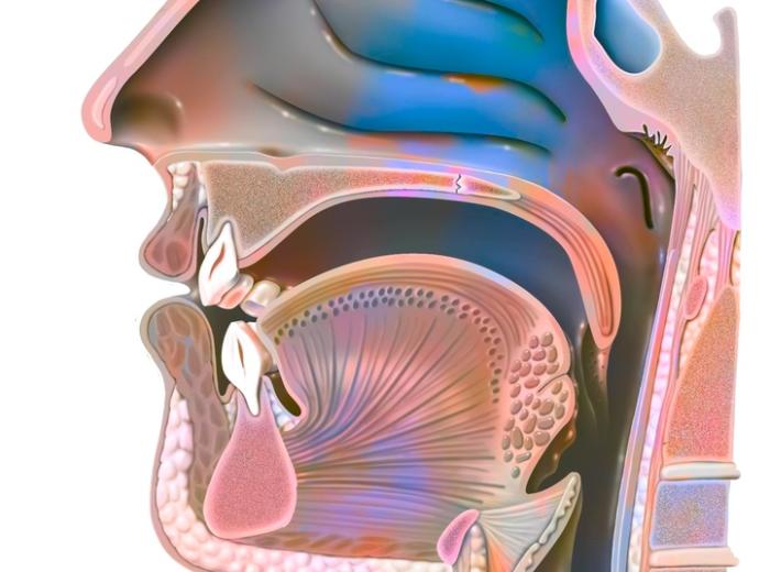 Ask a Dentist in Vegas: What Is Myofunctional Therapy, and Do I Need It?